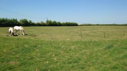 Images for Claycastle, Haselbury Plucknett, Crewkerne