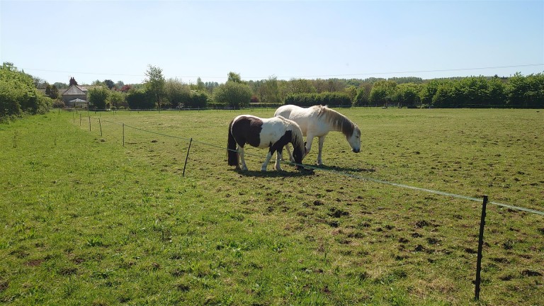 Images for Claycastle, Haselbury Plucknett, Crewkerne