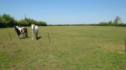 Images for Claycastle, Haselbury Plucknett, Crewkerne