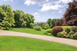 Images for Collipriest, Tiverton