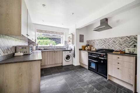 Click the photo for more details of Rose Ash