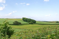 Images for Crawthorne, Dorchester
