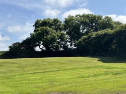 Images for Trerice