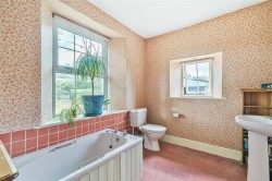 Images for Brentor