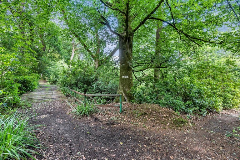 Images for Trinity Hill Road, Axminster