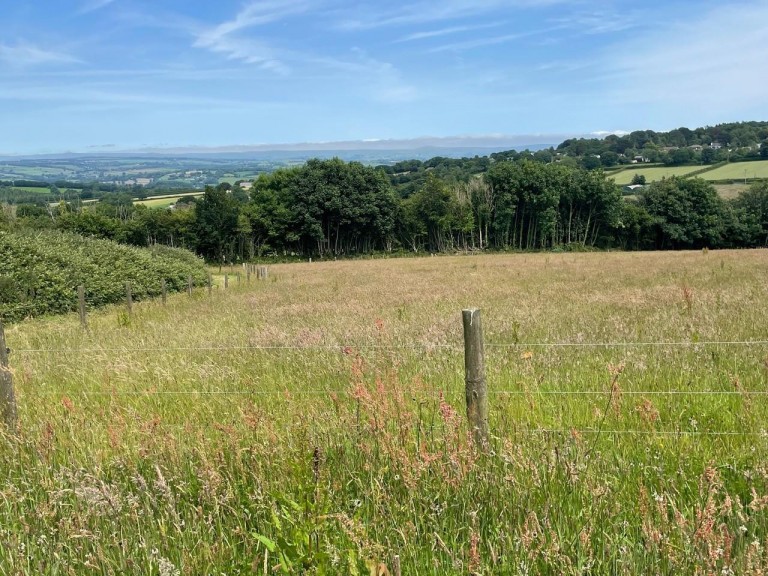 Images for Crockett, Callington