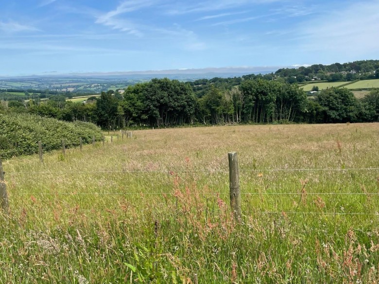 Click the photo for more details of Crockett, Callington