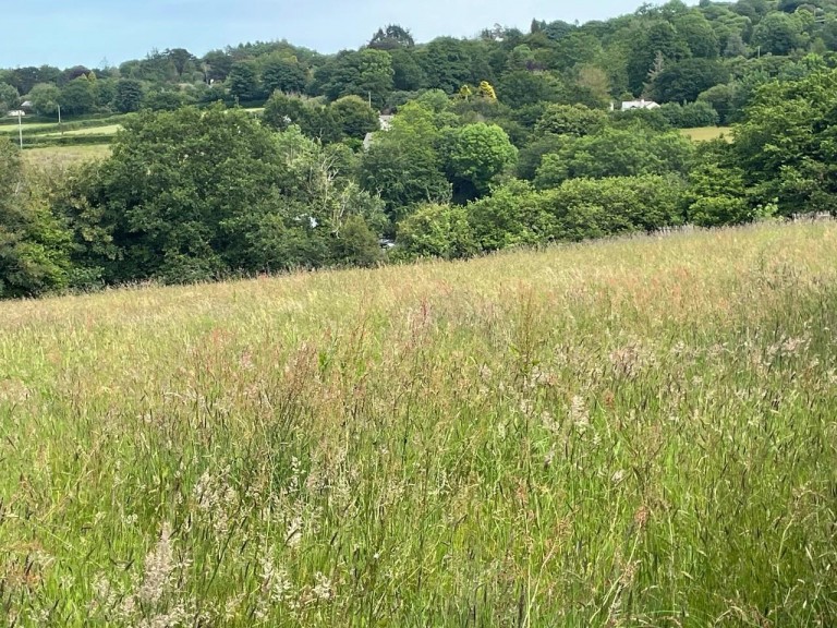 Images for Crockett, Callington