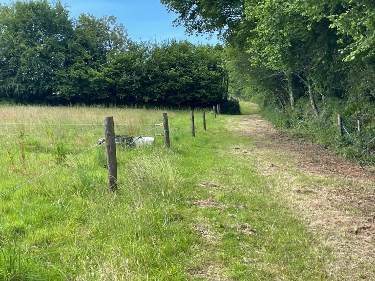 Images for Crockett, Callington
