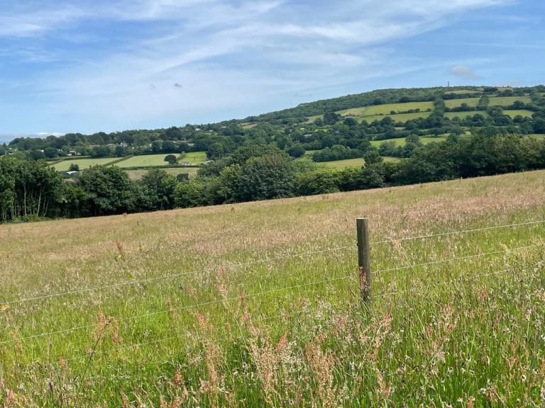 Images for Crockett, Callington