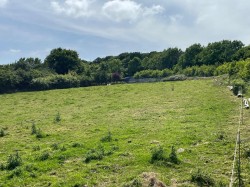 Images for Crockett, Callington