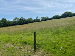 Images for Crockett, Callington