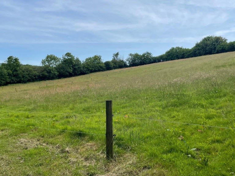 Images for Crockett, Callington