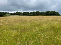 Images for Ilsington, Newton Abbot