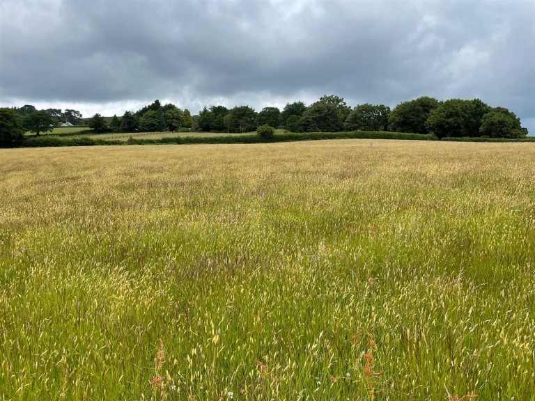 Images for Ilsington, Newton Abbot