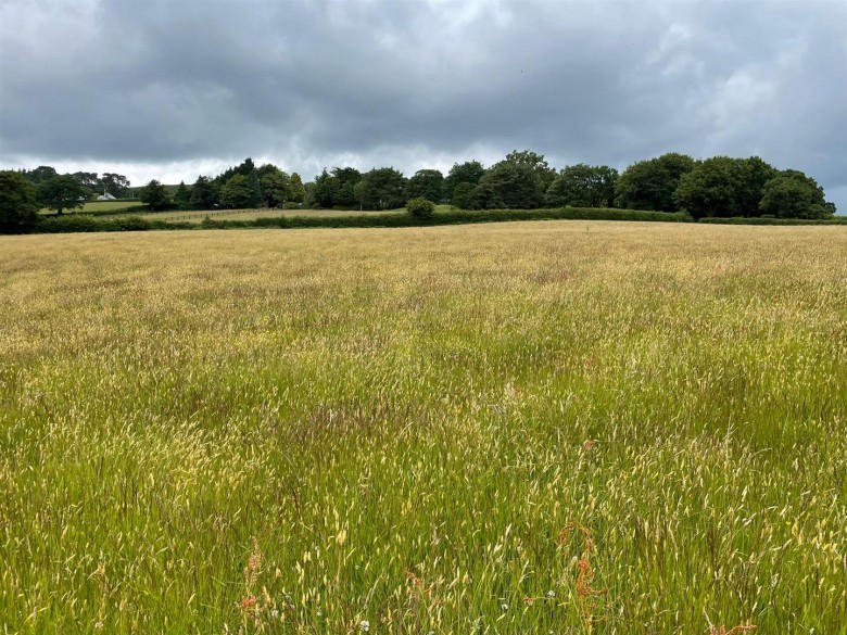 Click the photo for more details of Ilsington, Newton Abbot