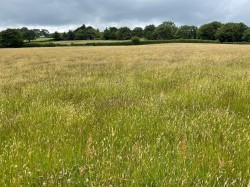 Images for Ilsington, Newton Abbot