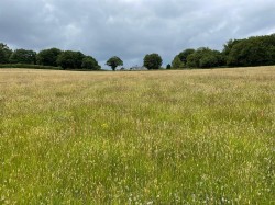 Images for Ilsington, Newton Abbot