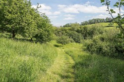 Images for Great Leigh, Doddiscombsleigh, Exeter