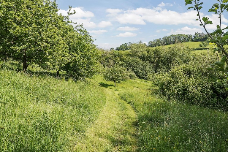 Images for Great Leigh, Doddiscombsleigh, Exeter