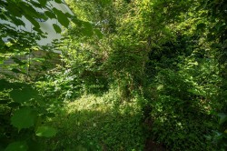 Images for Natalia Terrace, Higher Frome Vauchurch, Dorchester