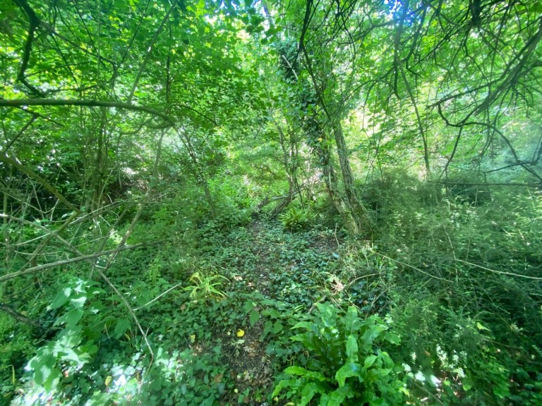 Images for New Street Lane Loders,, Bridport