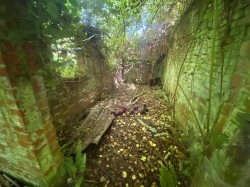 Images for New Street Lane Loders,, Bridport