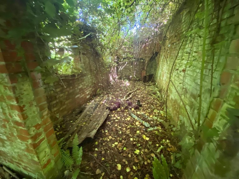 Images for New Street Lane Loders,, Bridport