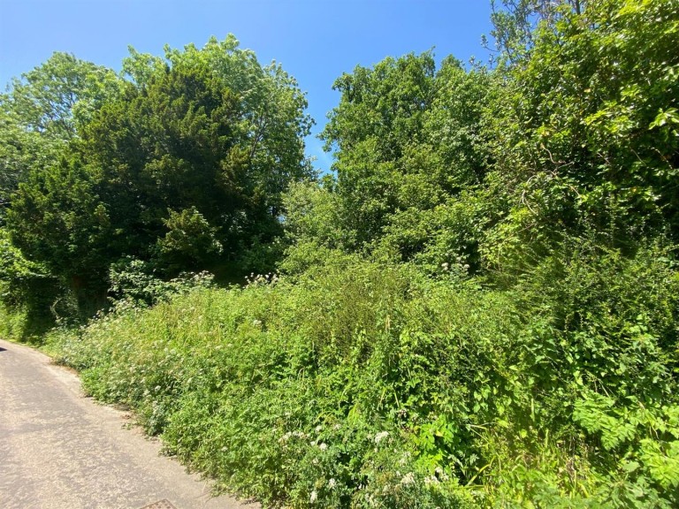 Images for New Street Lane Loders,, Bridport