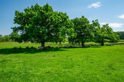 Images for Hatherleigh, Okehampton