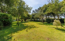 Images for Chale Green, Ventnor