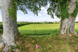 Images for Roborough, Winkleigh