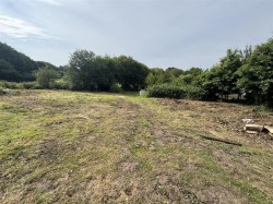 Images for Wimborne