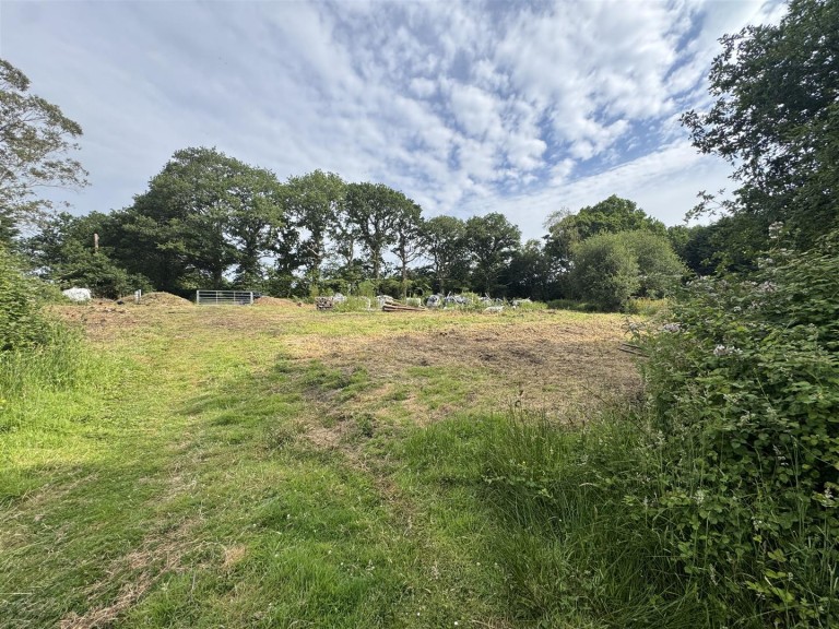 Images for Wimborne