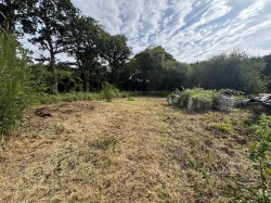 Images for Wimborne