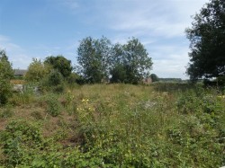 Images for Lower Road, Stalbridge, Sturminster Newton