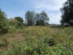 Images for Lower Road, Stalbridge, Sturminster Newton