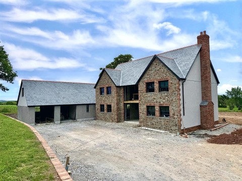 Click the photo for more details of Black Dog, Crediton