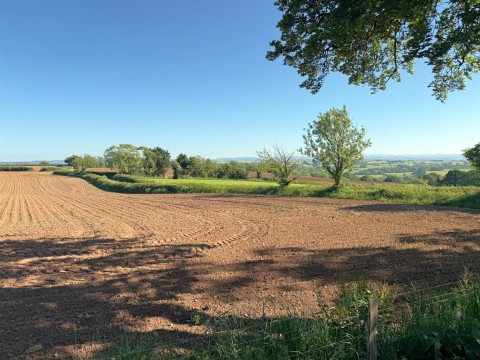 Click the photo for more details of Black Dog, Crediton