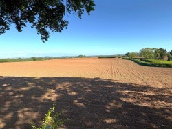 Images for Black Dog, Crediton