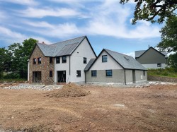 Images for Black Dog, Crediton