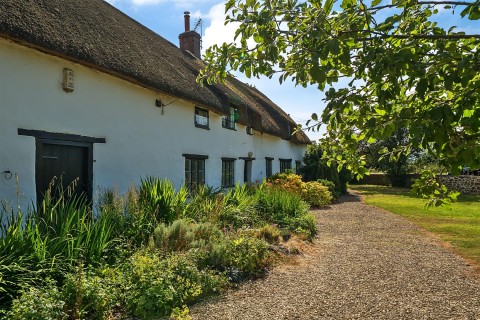 Click the photo for more details of Sea, Ilminster