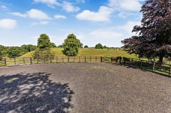 Images for High Street, Somerby