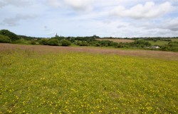 Images for St. Day, Redruth