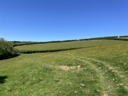 Images for Dulverton