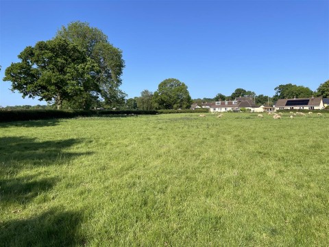Click the photo for more details of Holcombe Rogus, Wellington