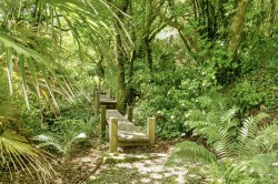 Images for Otterham, Camelford