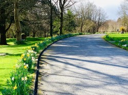 Images for Stokelake, Chudleigh, Newton Abbot
