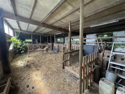 Images for Winterborne Stickland