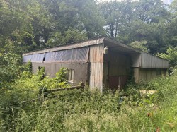Images for Winterborne Stickland